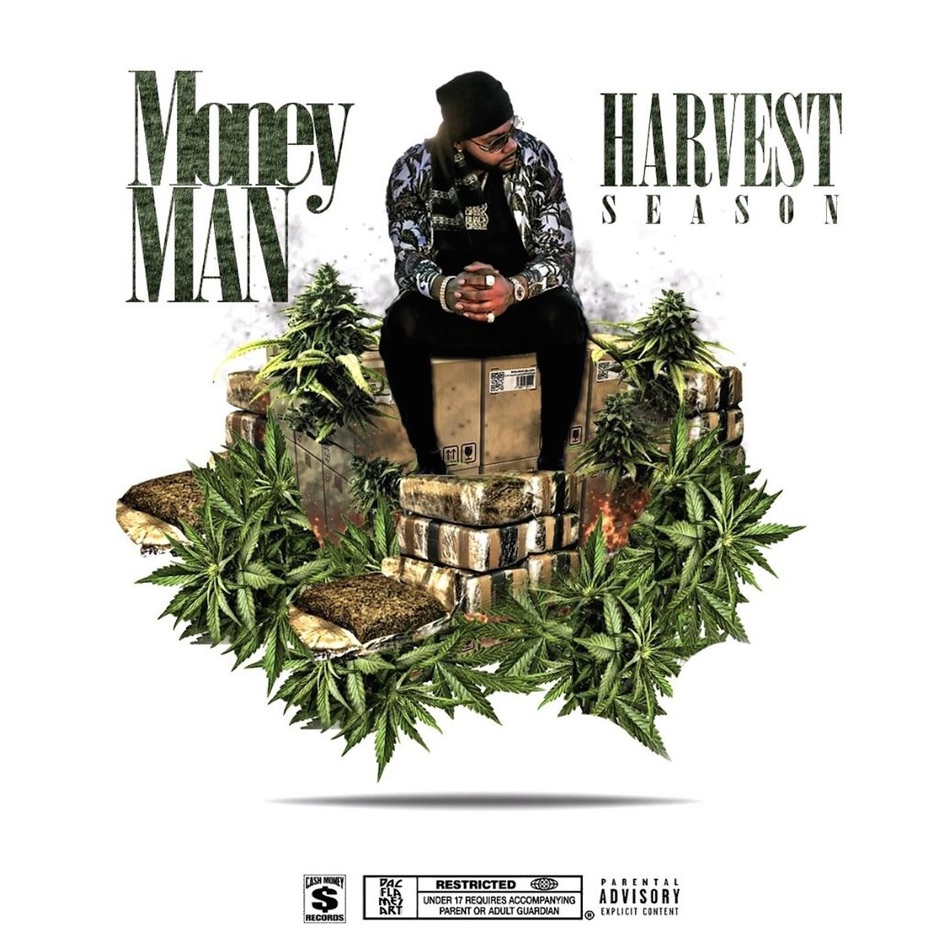 Money Man - Harvest Season